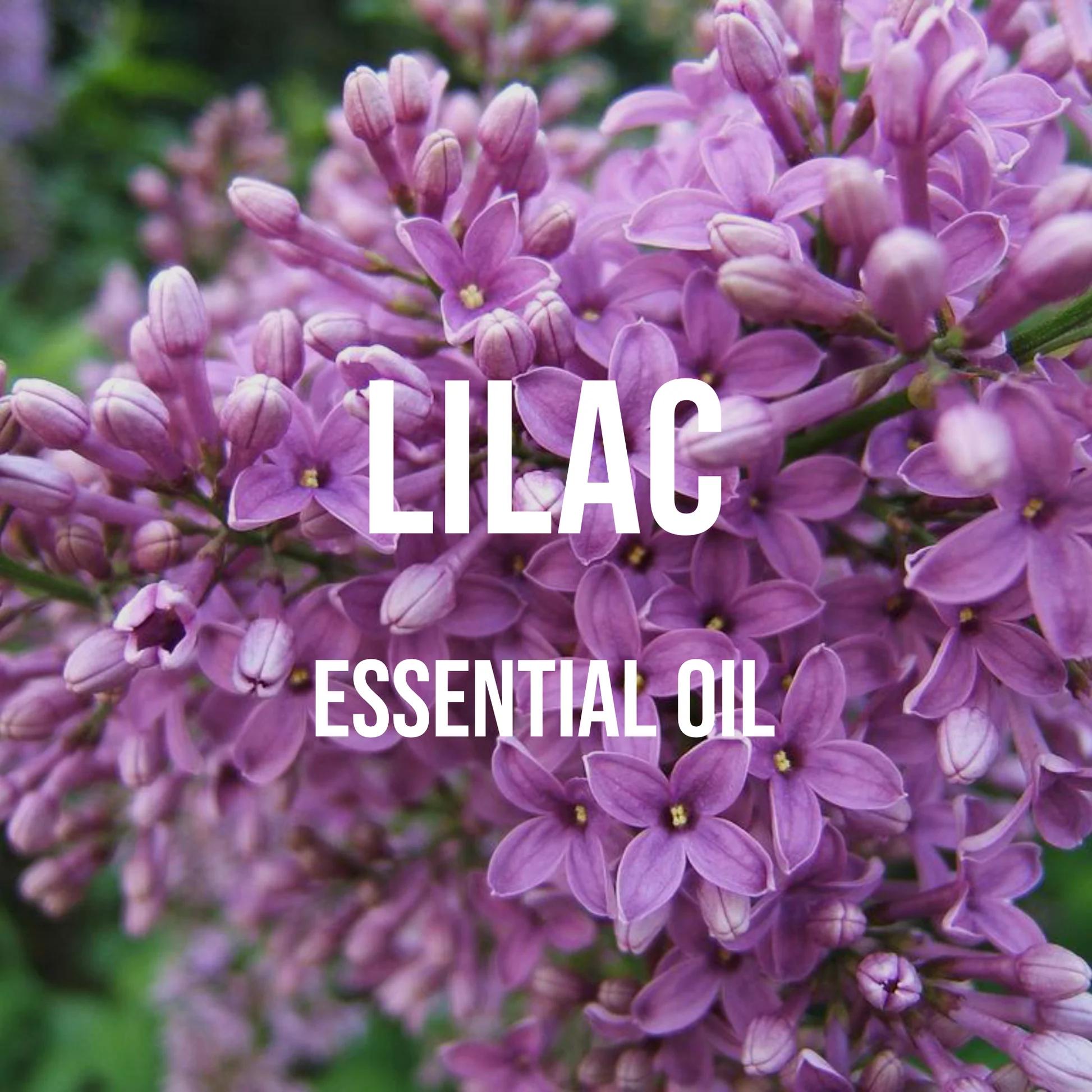 Candle Supplies Essential Oils - Aceite Esencial lila de grado Premium