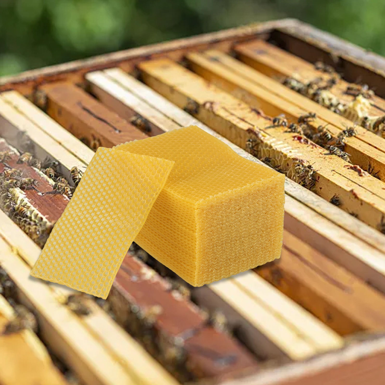 30 Láminas de Cera de Abeja Na - Beeswax Sheet Roll reseña y precio